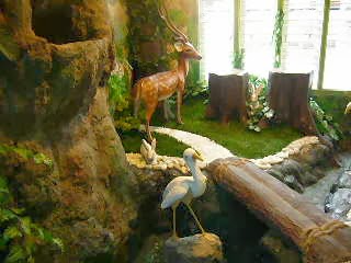 Indoor and Outdoor Gardening